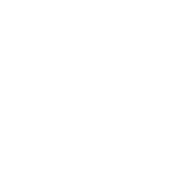 HDVP